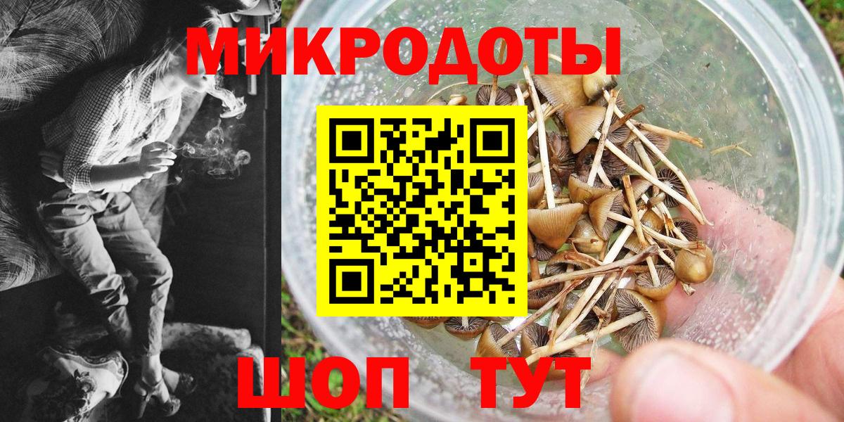 Псилоцибиновые грибы мицелий Зима