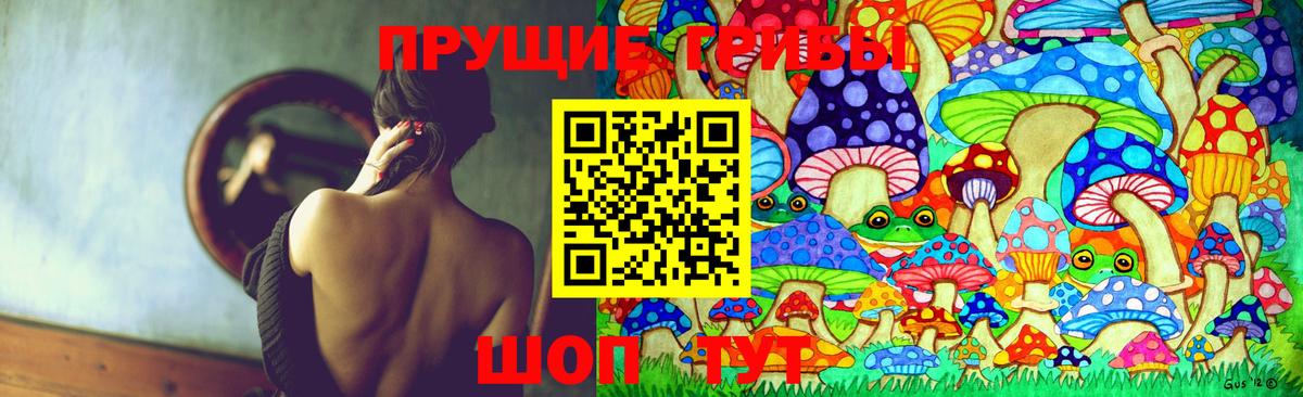 Зима  Галлюциногенные грибы Psilocybine cubensis  Вход с VPN 